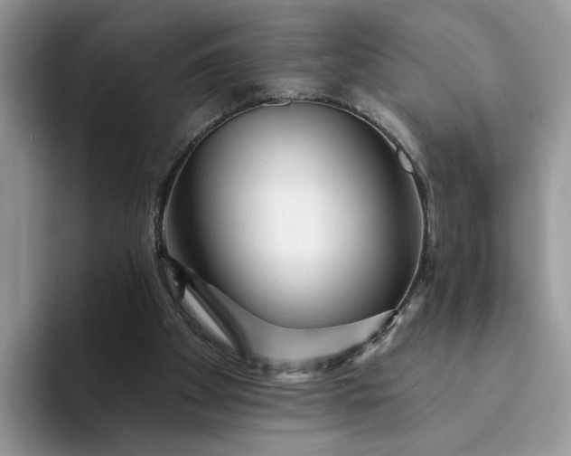 X0000094190105200711091208