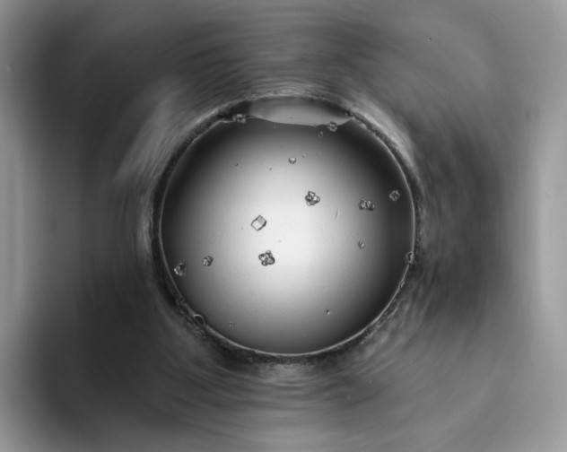 X0000094190107200711091208