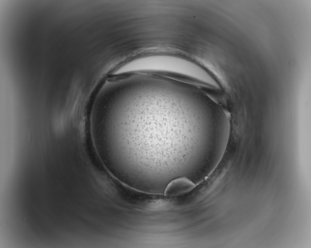 X0000094190111200711091208