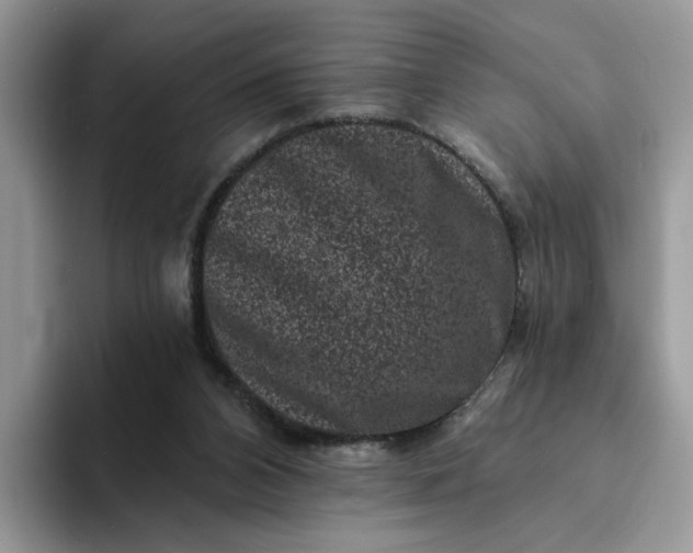 X0000094190112200711091208