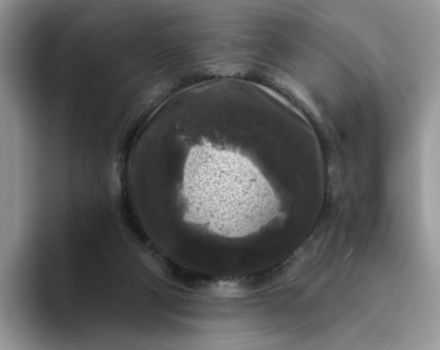 X0000094190114200711091208