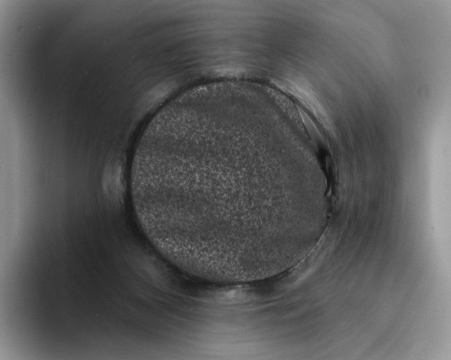 X0000094190116200711091208