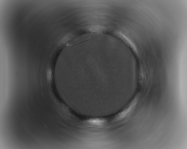 X0000094190117200711091208