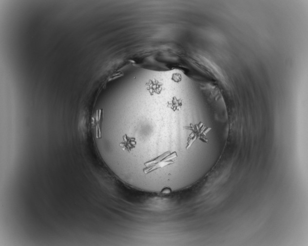 X0000094190119200711091208