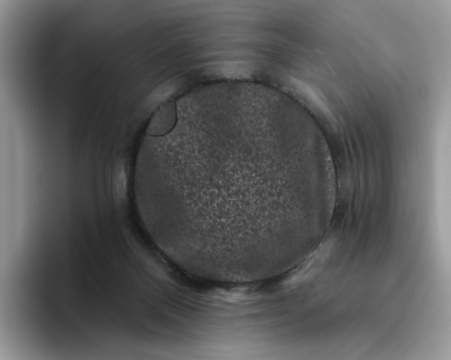 X0000094190120200711091208