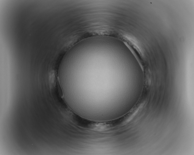 X0000094190121200711091208