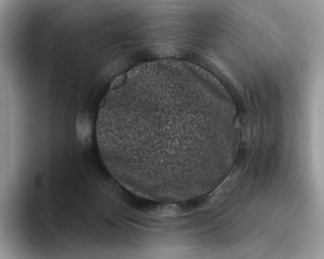 X0000094190124200711091208