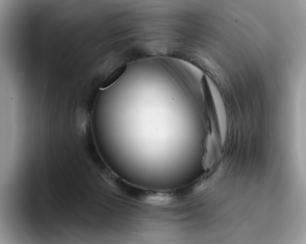 X0000094190125200711091208