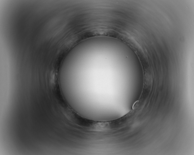 X0000094190126200711091208