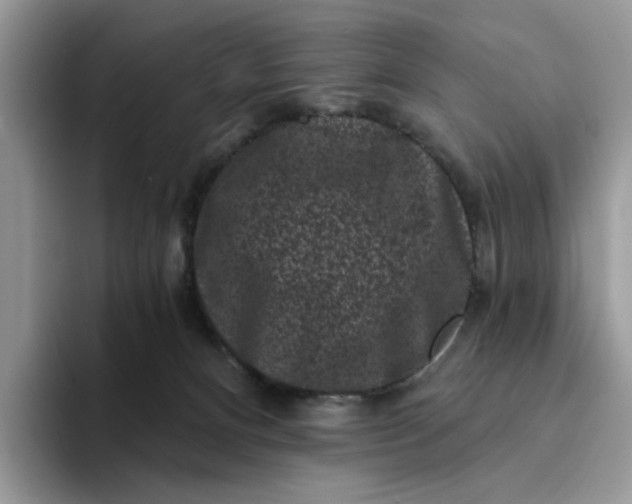 X0000094190128200711091208