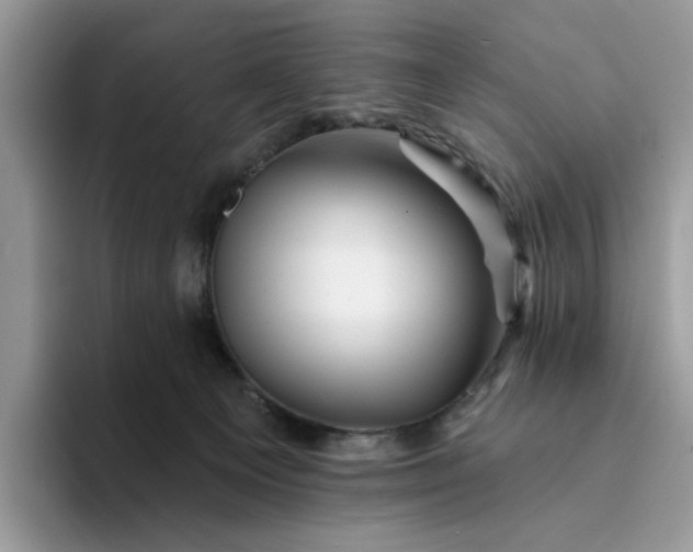 X0000094190129200711091208