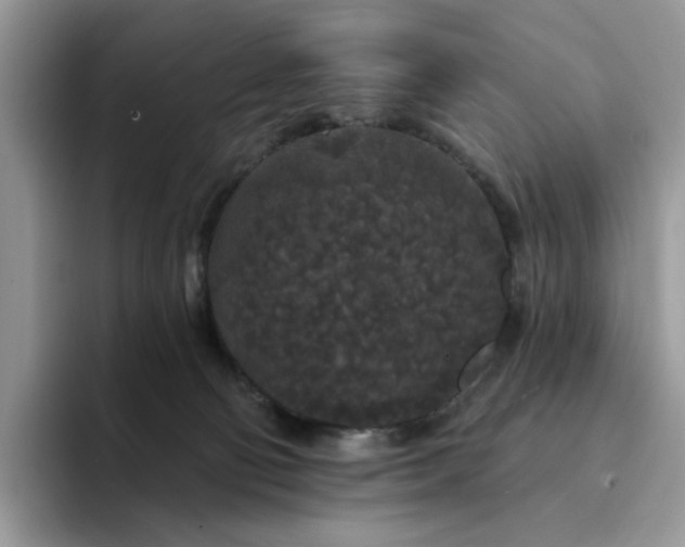 X0000094190130200711091208