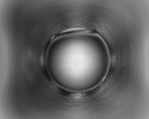 X0000094190131200711091208