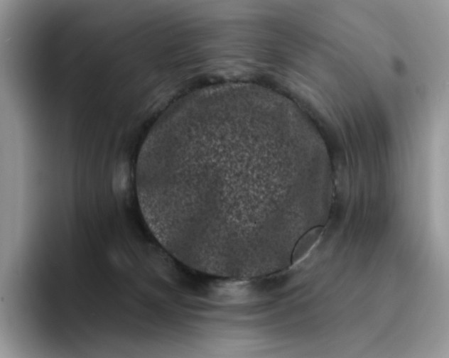 X0000094190132200711091208