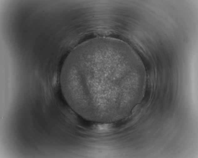 X0000094190134200711091208