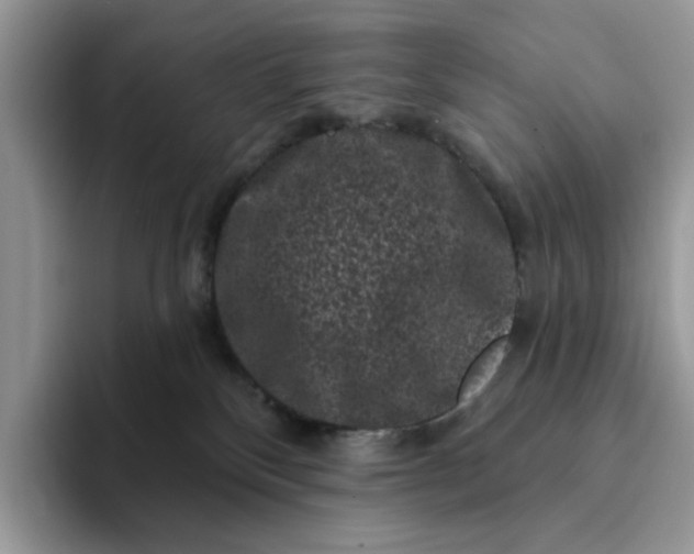 X0000094190136200711091208