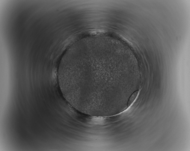 X0000094190144200711091208