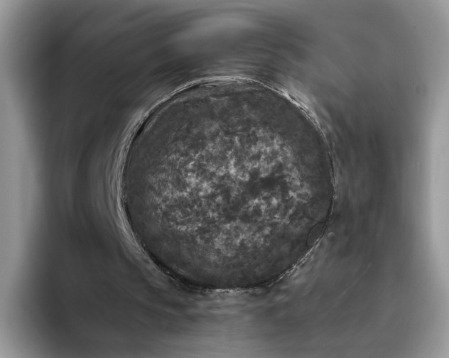 X0000094190145200711091207