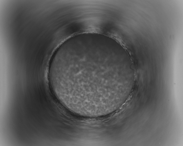 X0000094190146200711091207