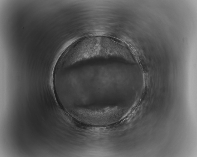 X0000094190147200711091207