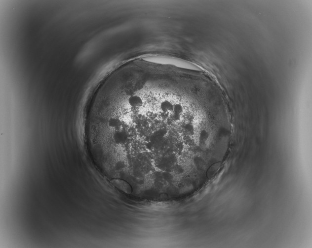 X0000094190149200711091207