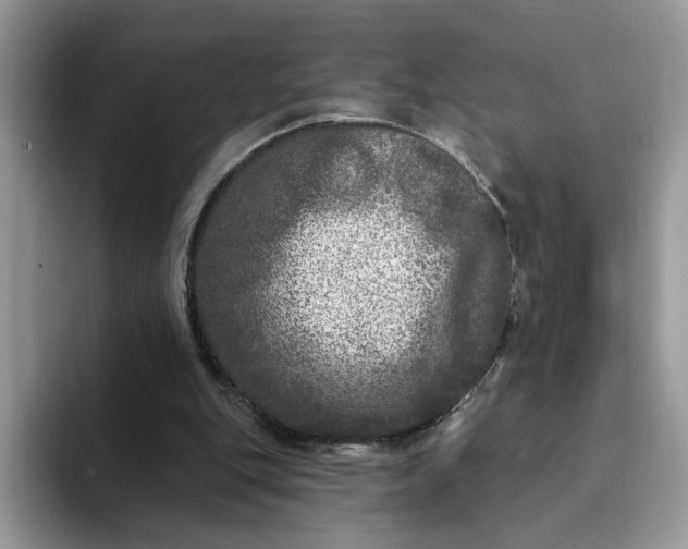 X0000094190151200711091207