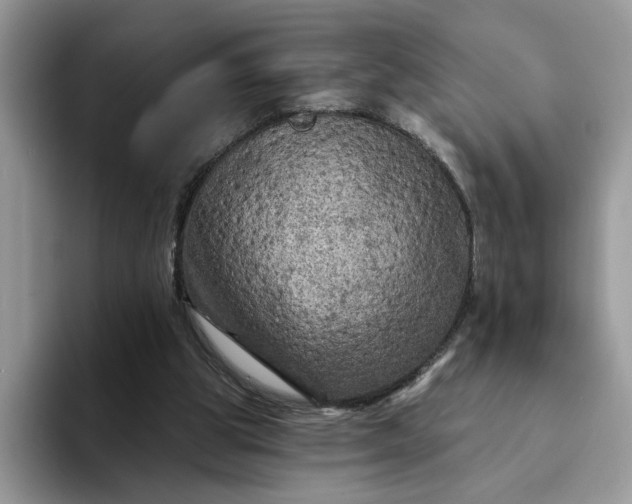 X0000094190153200711091207