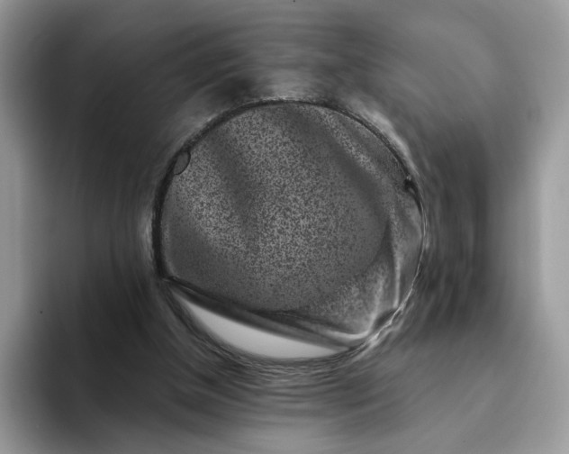 X0000094190154200711091207