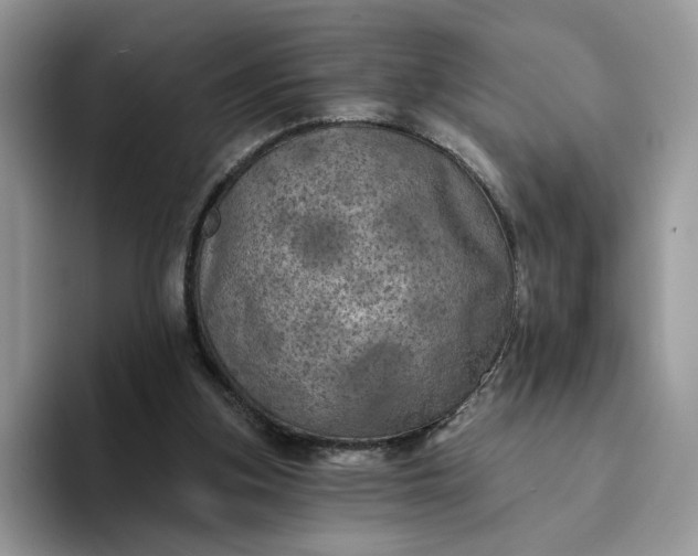 X0000094190155200711091207