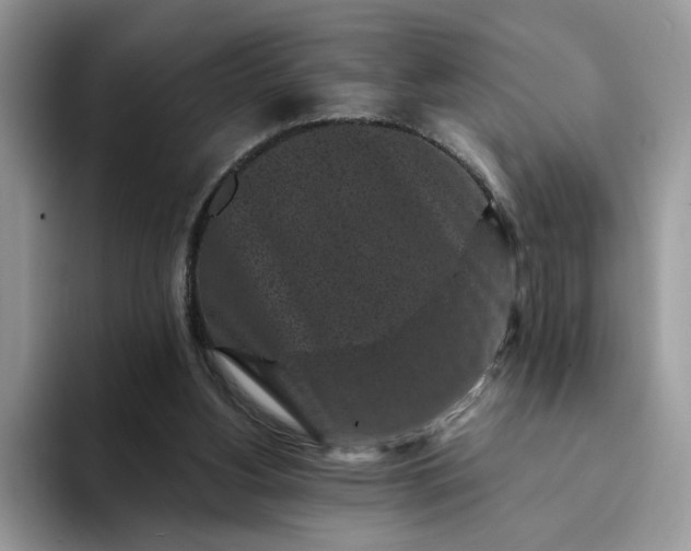 X0000094190156200711091207