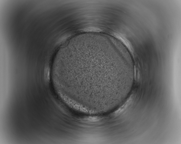 X0000094190157200711091207