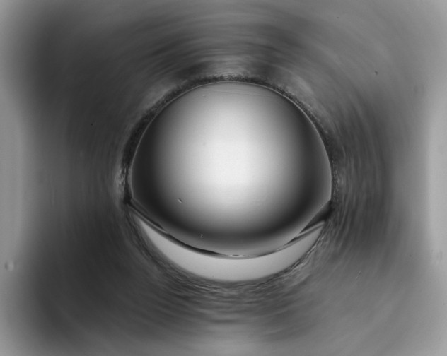 X0000094190160200711091207