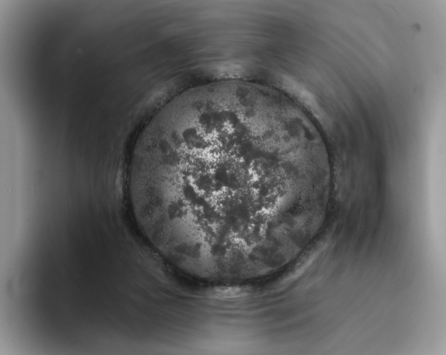 X0000094190161200711091207