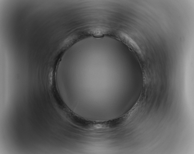 X0000094190163200711091207