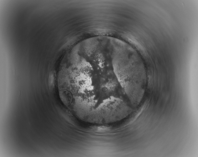 X0000094190165200711091207