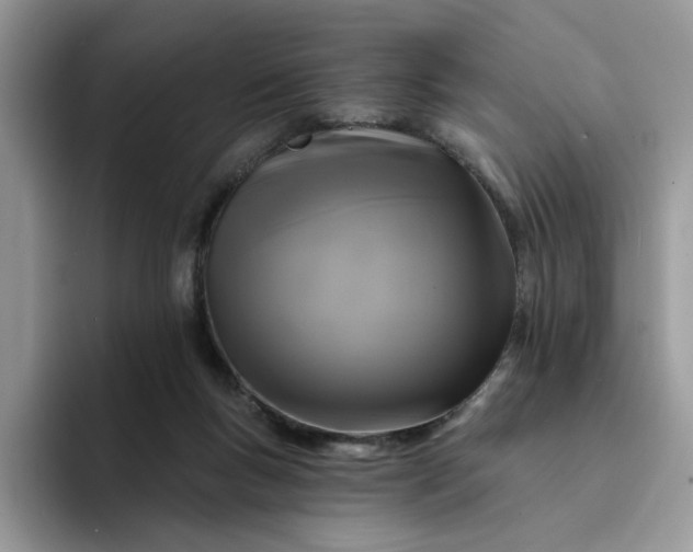 X0000094190167200711091207