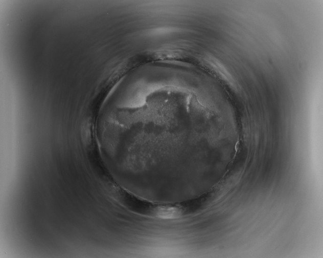 X0000094190169200711091207