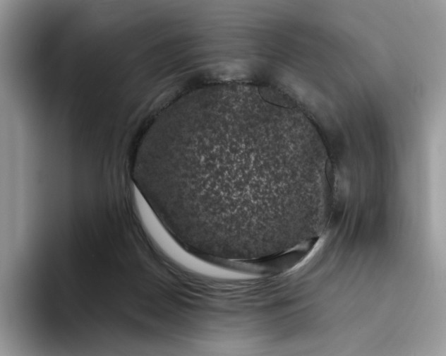 X0000094190170200711091207