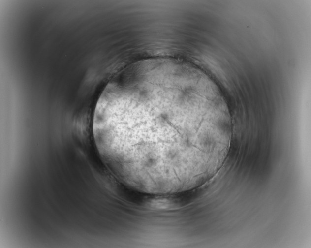 X0000094190171200711091207