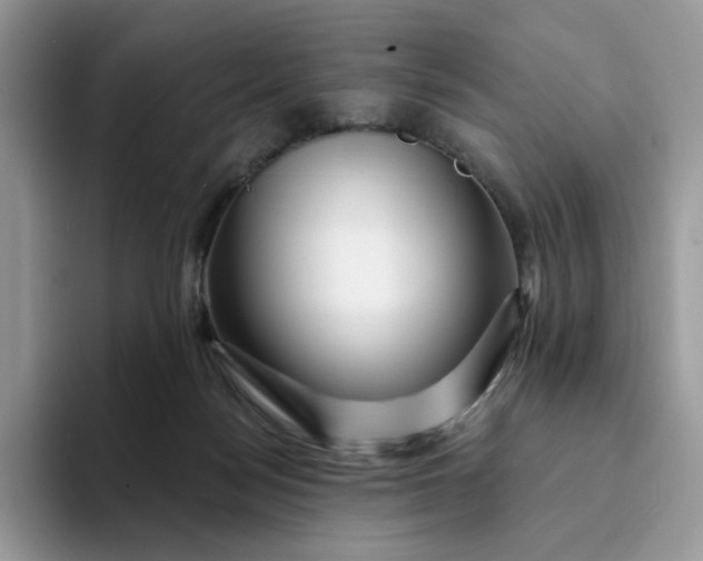 X0000094190172200711091207