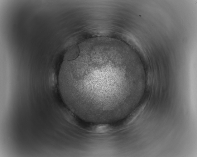 X0000094190173200711091207