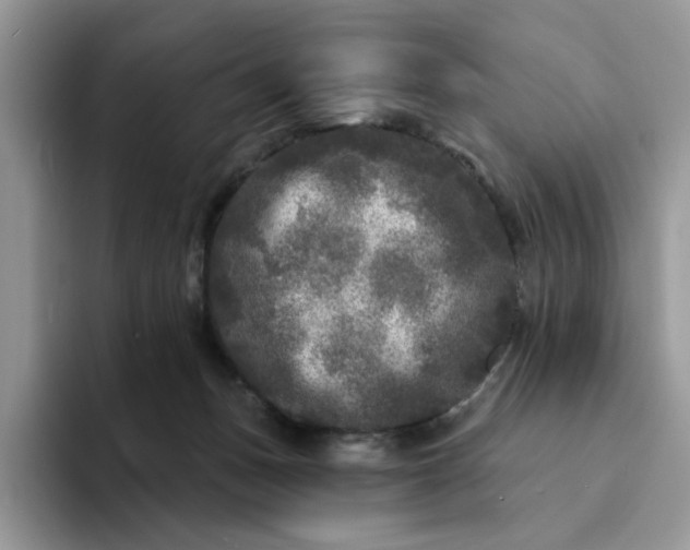 X0000094190175200711091208