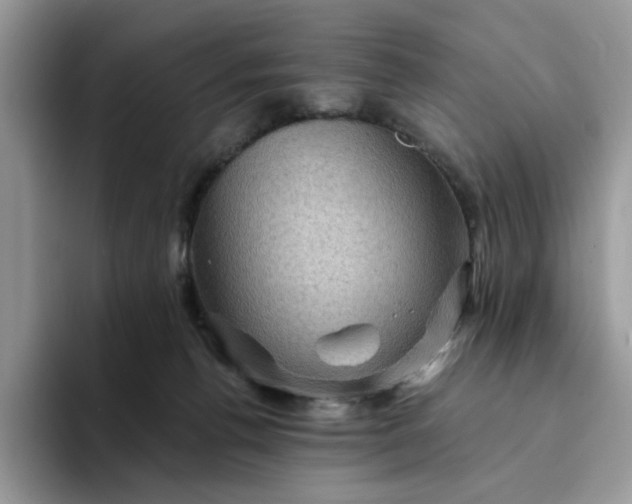 X0000094190176200711091208