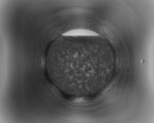 X0000094190177200711091208