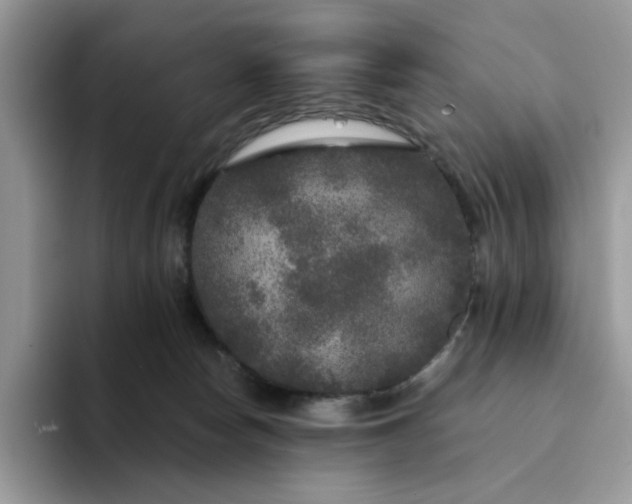 X0000094190178200711091208