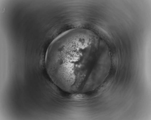 X0000094190181200711091208