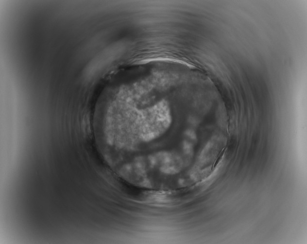 X0000094190182200711091208