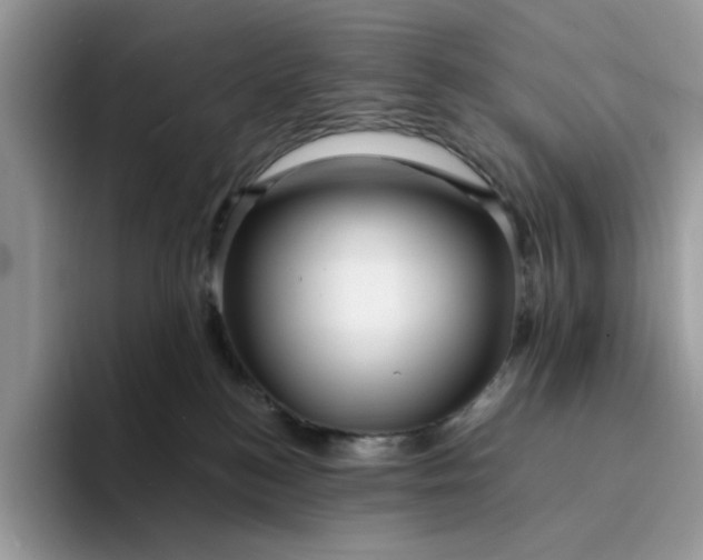 X0000094190184200711091208