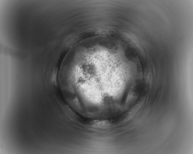 X0000094190185200711091208