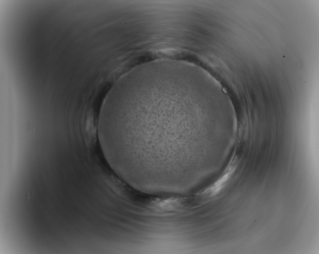 X0000094190186200711091208